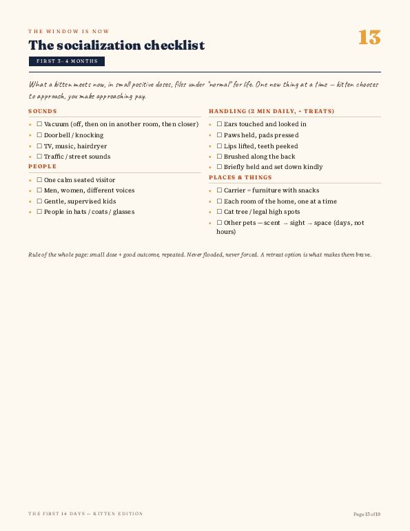 Socialization checklist