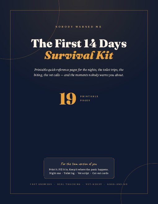 The Rescue Survival Kit — cover