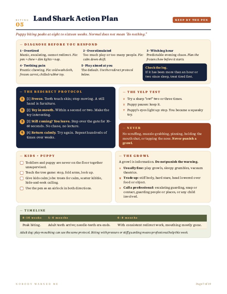 Settling-in action plan